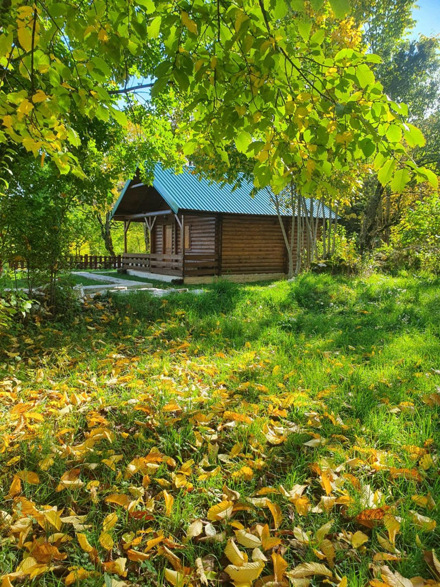 Cabin House Dubovik Cetinje Exterior photo